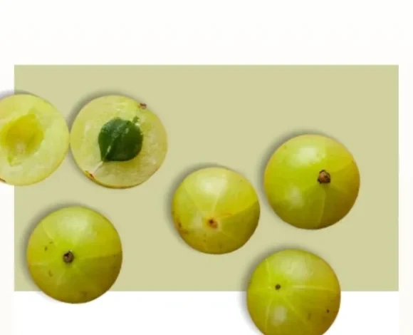 Fresh amla, pale green and translucent, some halved